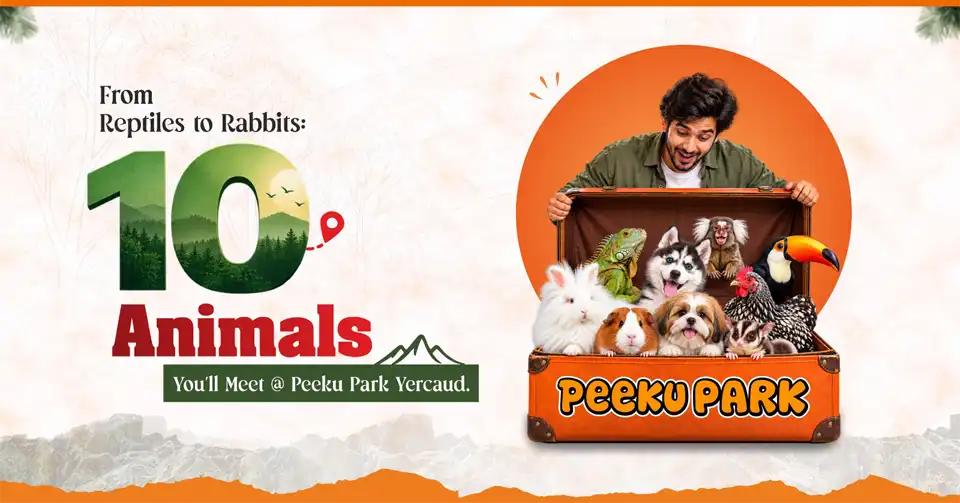 Animals and wildlife attractions at Peeku Park Yercaud