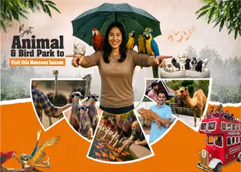 Best Animal & Bird Park to Visit This Monsoon Season - Peeku Park Blog