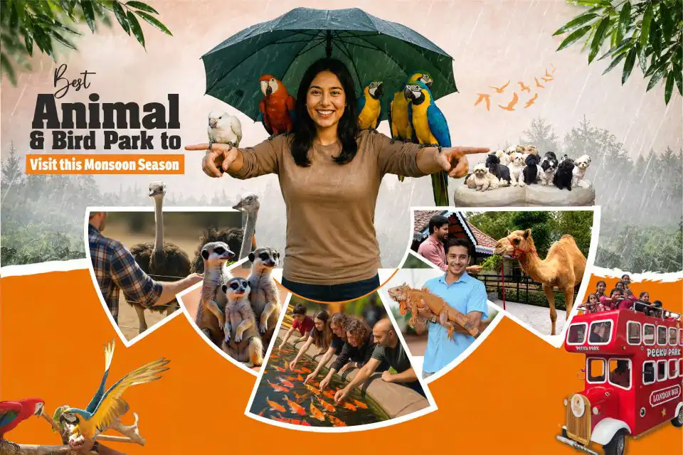 Independence Day Weekend Getaway: Visit Peeku Park, Yercaud’s Best Animal & Bird Park