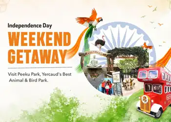 Independence Day Weekend Getaway - Peeku Park Blog