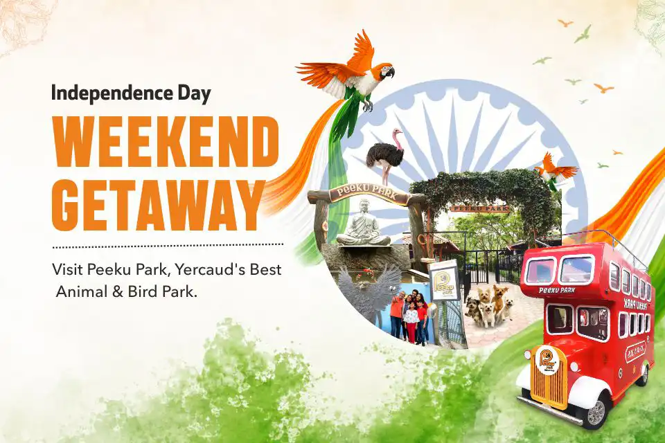 Independence Day Weekend Getaway: Visit Peeku Park, Yercaud’s Best Animal & Bird Park