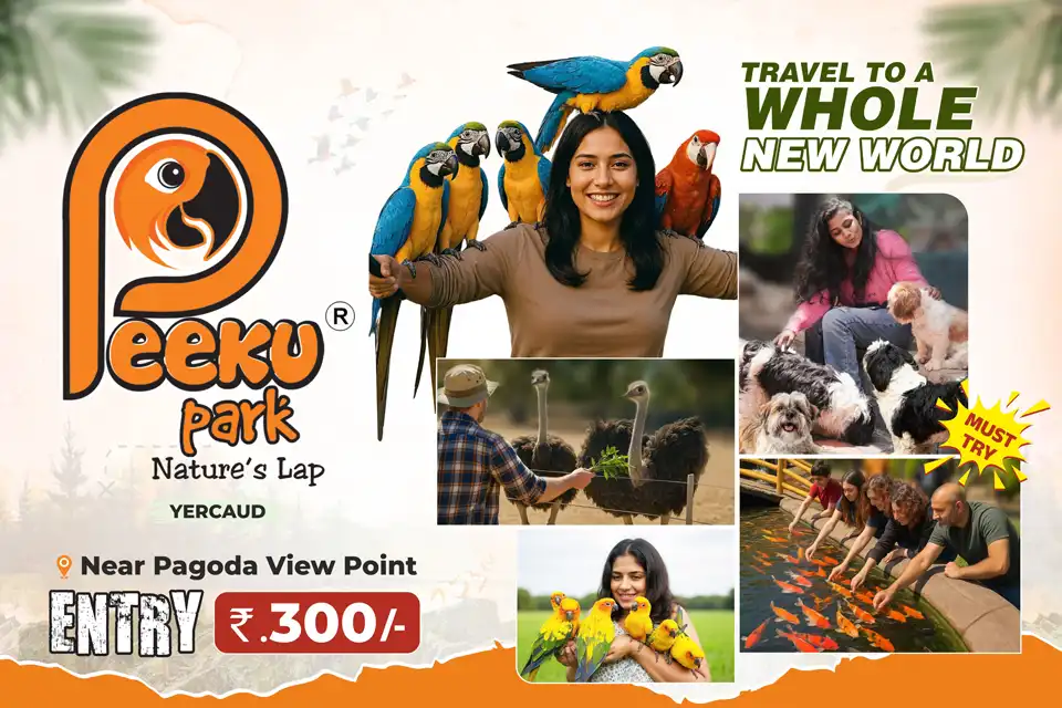 Best Birds Park - Peeku Park Yercaud