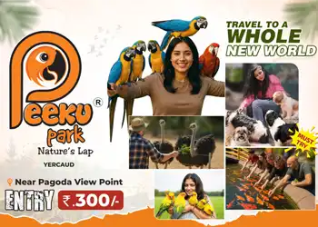 Discover the Best Bird Park in Yercaud - Peeku Park Blog