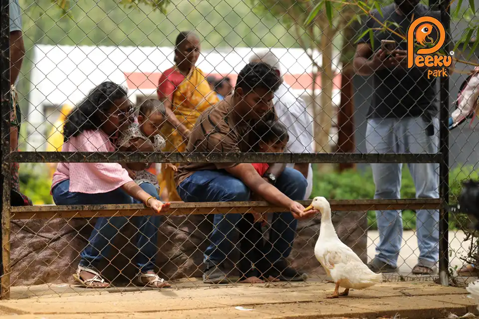 Best Birds Park - Peeku Park Yercaud