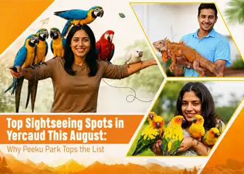 Top Sightseeing Spots in Yercaud This August - Peeku Park Blog