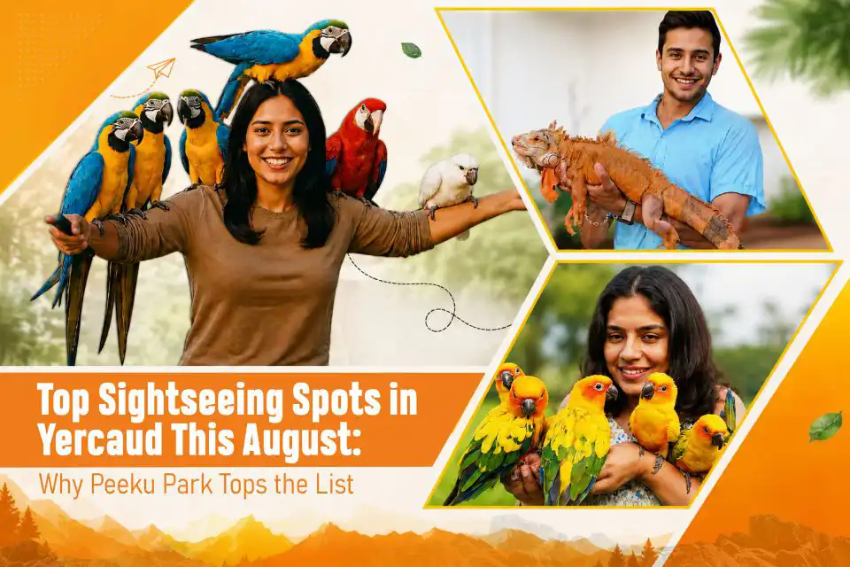 Top Sightseeing Spots in Yercaud This August: Why Peeku Park Tops the List